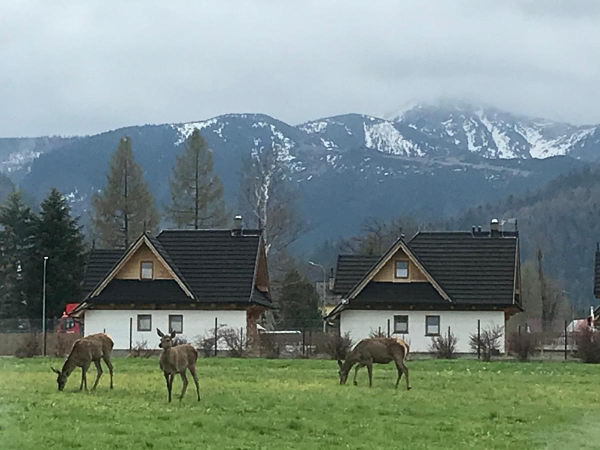 Camping Zakopane Willa Skoczek Oferta Nie Dotyczy Noclegu W Pokoju ,W Namiocie Reczniki Woda Mineralna , Koldra Poduszki Lub Spiwory 외부 사진