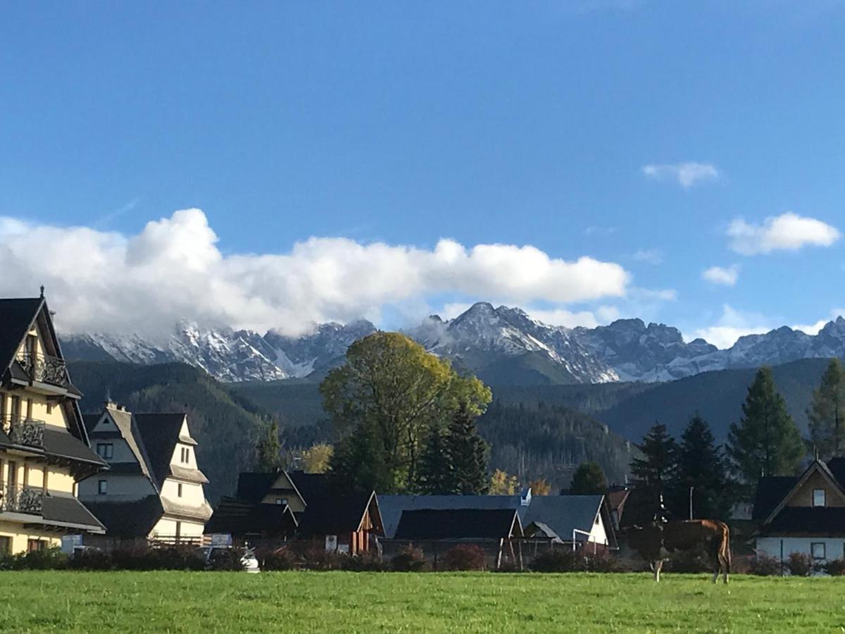 Camping Zakopane Willa Skoczek Oferta Nie Dotyczy Noclegu W Pokoju ,W Namiocie Reczniki Woda Mineralna , Koldra Poduszki Lub Spiwory 외부 사진