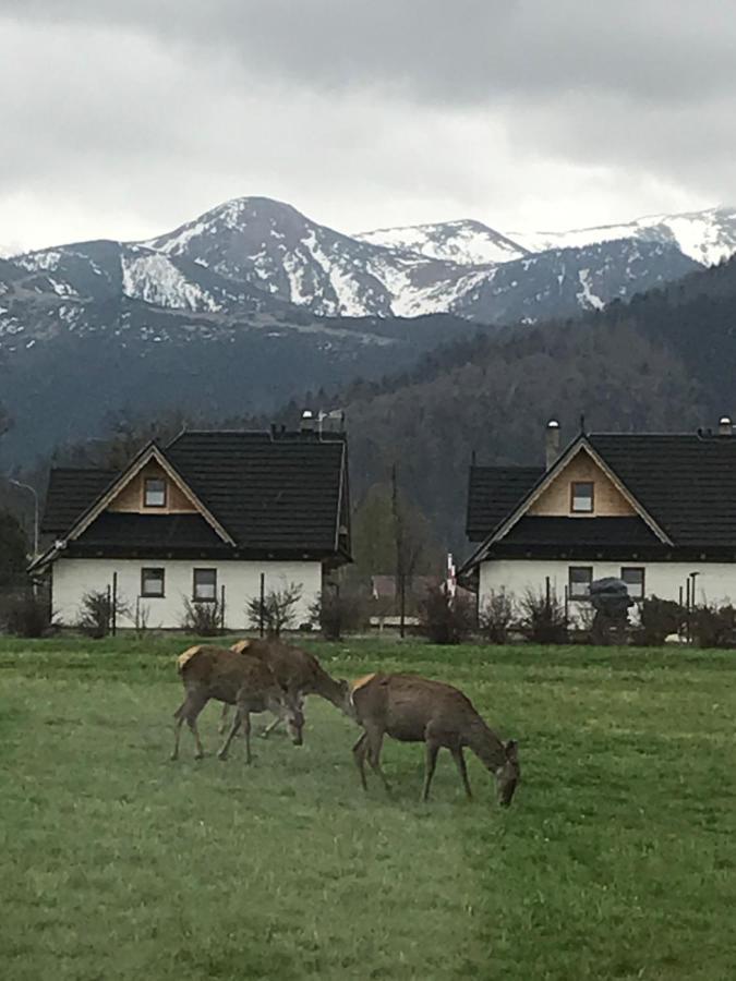 Camping Zakopane Willa Skoczek Oferta Nie Dotyczy Noclegu W Pokoju ,W Namiocie Reczniki Woda Mineralna , Koldra Poduszki Lub Spiwory 외부 사진