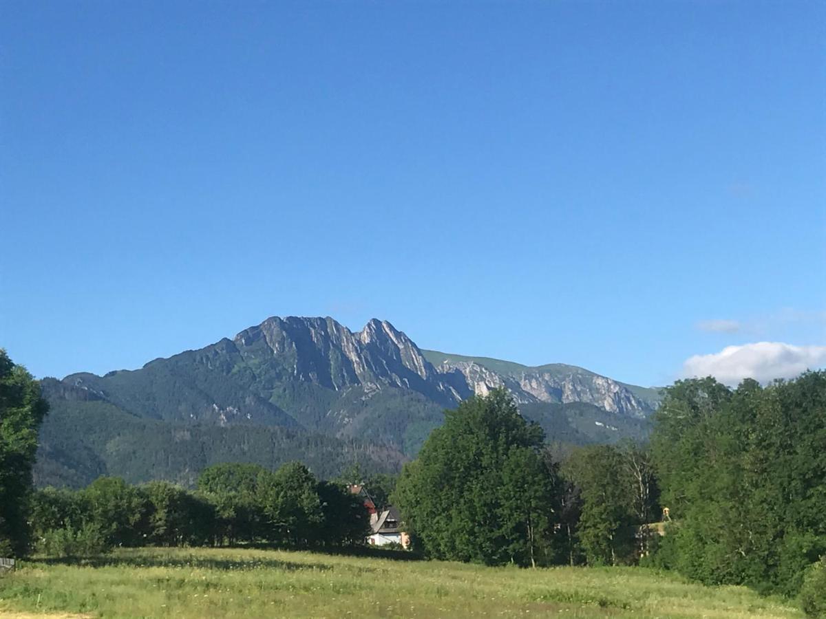Camping Zakopane Willa Skoczek Oferta Nie Dotyczy Noclegu W Pokoju ,W Namiocie Reczniki Woda Mineralna , Koldra Poduszki Lub Spiwory 외부 사진