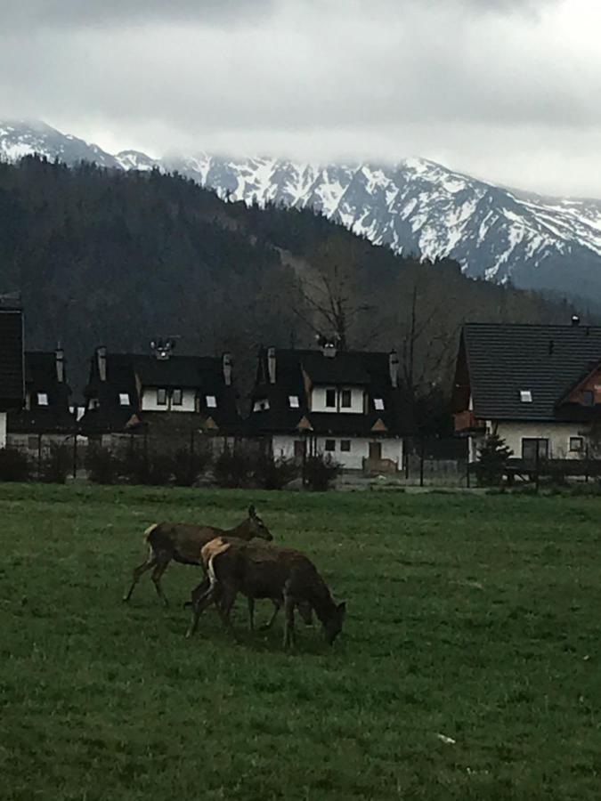 Camping Zakopane Willa Skoczek Oferta Nie Dotyczy Noclegu W Pokoju ,W Namiocie Reczniki Woda Mineralna , Koldra Poduszki Lub Spiwory 외부 사진